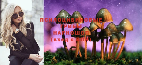 кокс Дмитровск