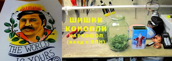 ГАЛЛЮЦИНОГЕННЫЕ ГРИБЫ Гусев