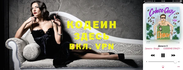 ГАЛЛЮЦИНОГЕННЫЕ ГРИБЫ Гусев