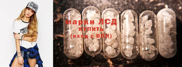 ГАЛЛЮЦИНОГЕННЫЕ ГРИБЫ Гусев